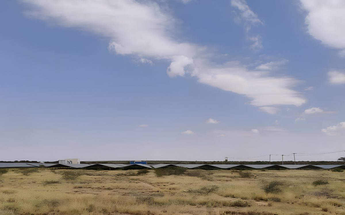 Wind-rippled sand dunes under a high sky near Hargeisa