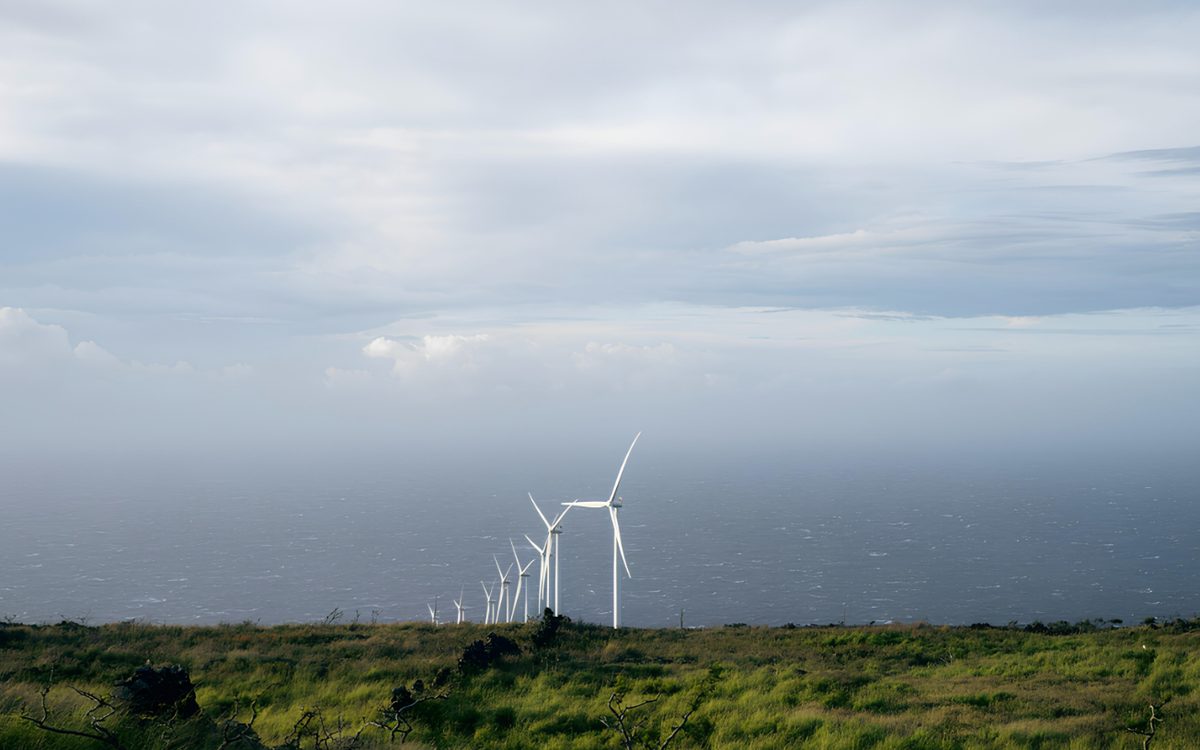 A line of offshore turbines standing off a green coastline