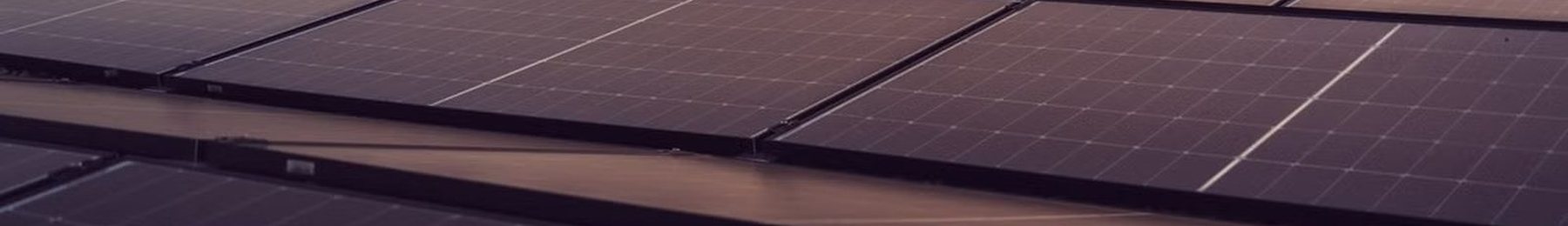 Rows of solar panels in low evening light